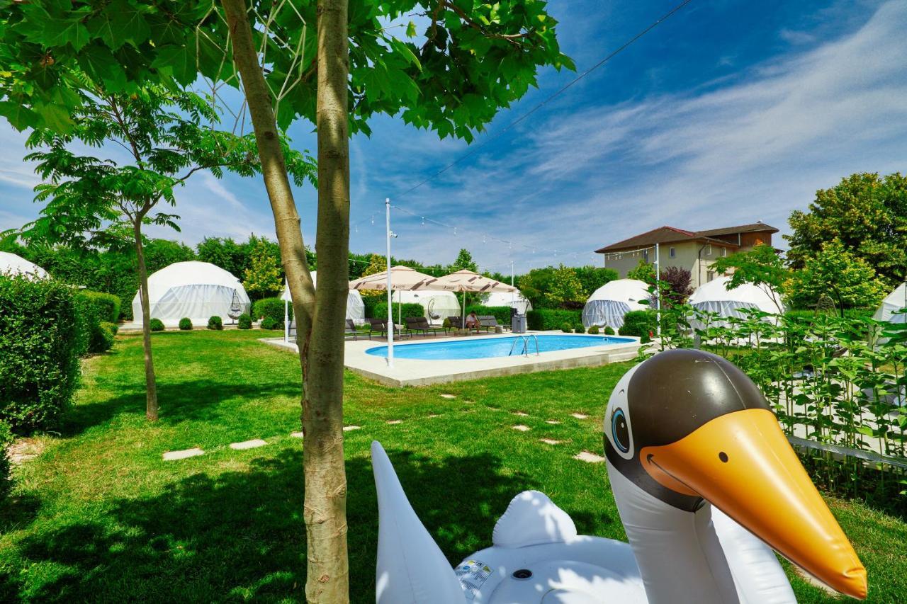 Отель Seagloo Glamping - Adults Only Костинешти Экстерьер фото